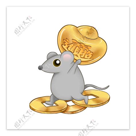 看到老鼠代表 钱币